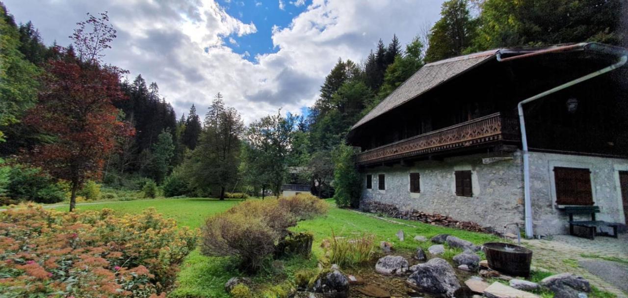Appartement-3-Chambres-8-Couchages-Wifi-Montriond-Chebourins 外观 照片